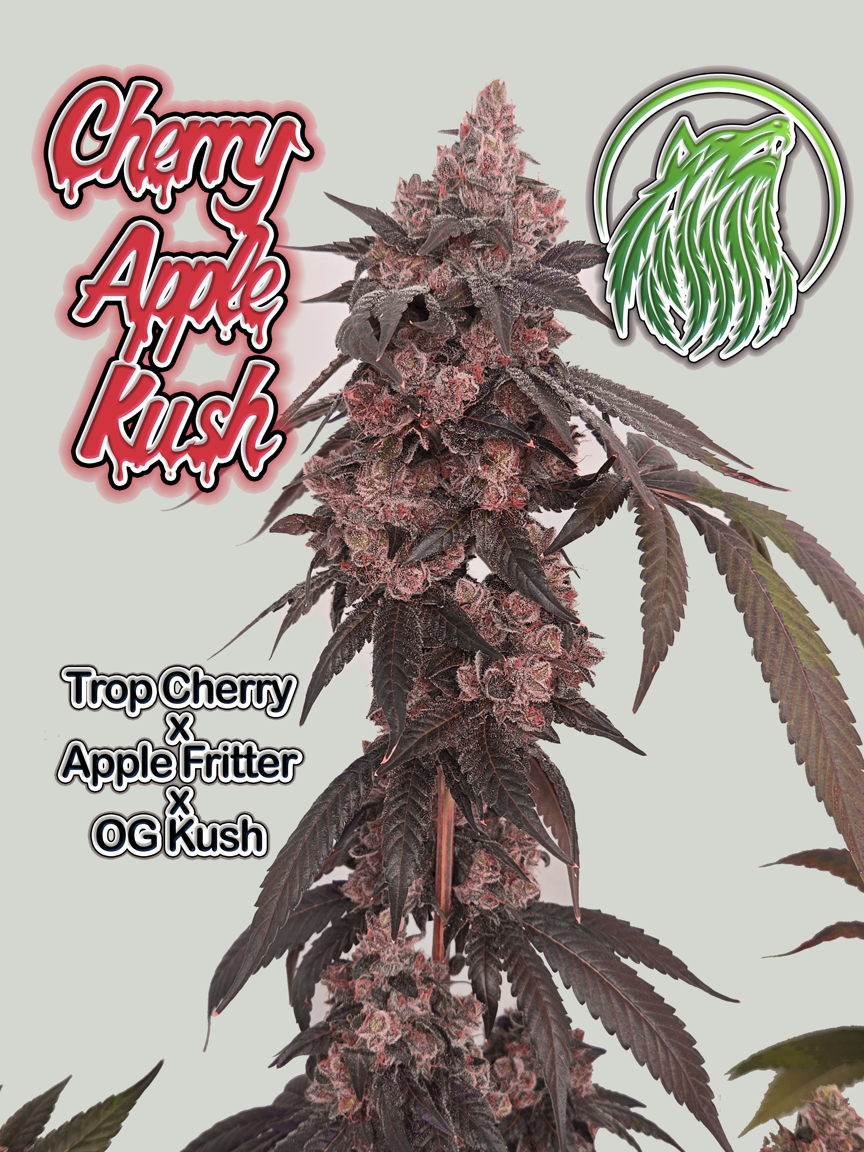 Cherry Apple Kush