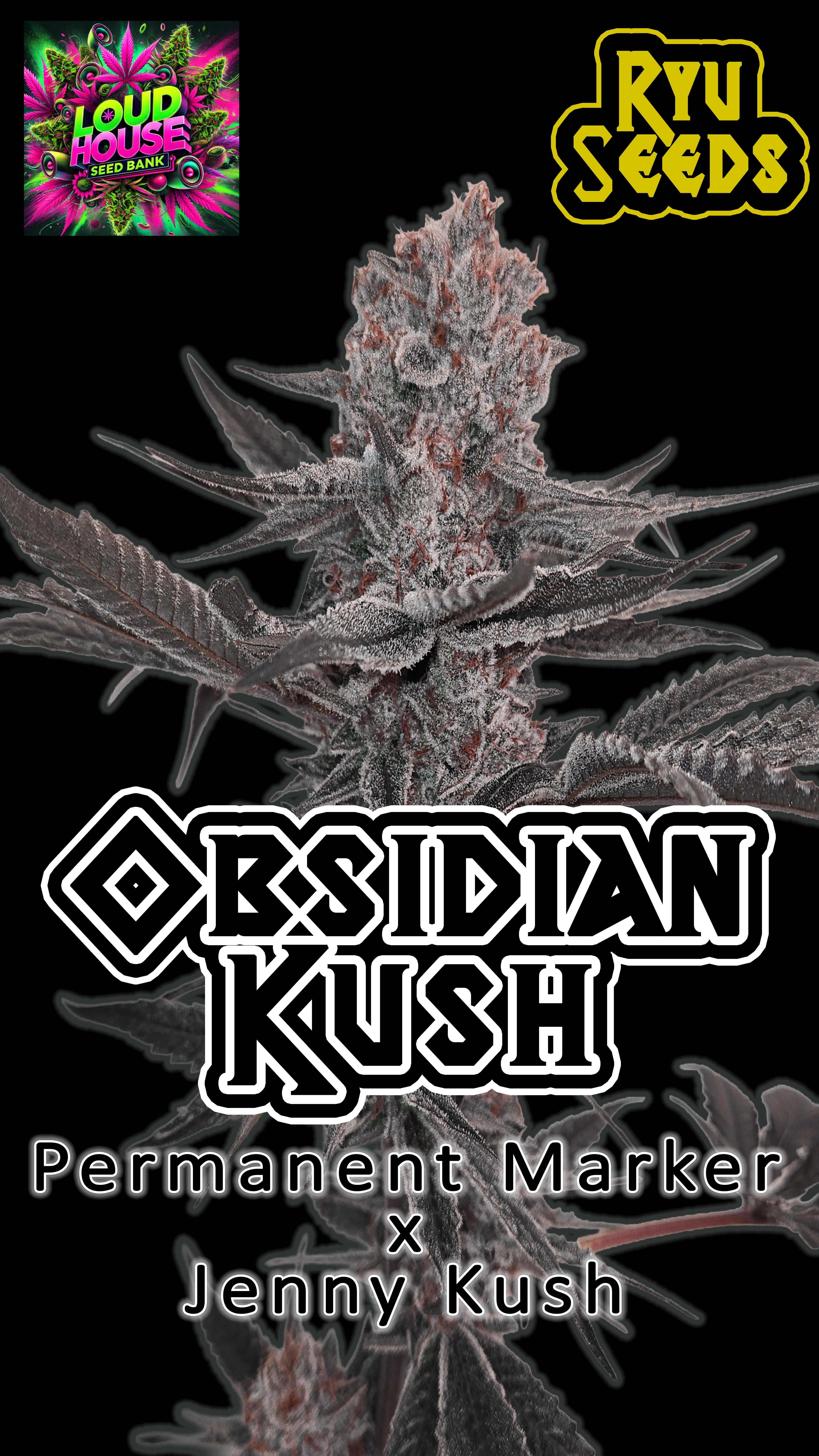 Obsidian Kush