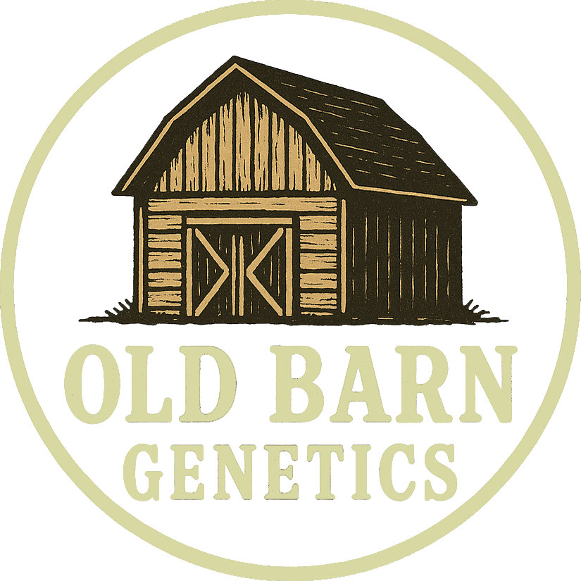 Old Barn Genetics